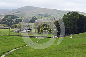 Sheep Pasture, Stone Walls, Haylands Bridge over River Ure, Hawes, North Yorkshire, England, UK