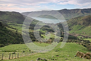 Sheep pastures on the Banks Peninsula, New Zealand photo