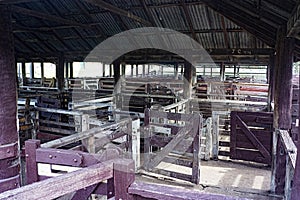 Sheep pens at salesyards