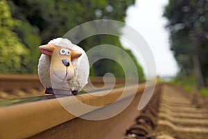 Sheep on rails