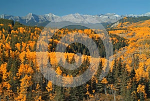 Sheep River valley, Alberta