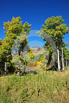 Sheep River Valley in Autumn