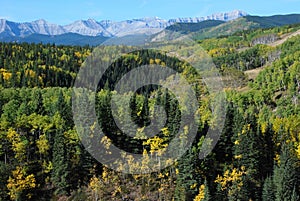 Sheep River Valley in Autumn