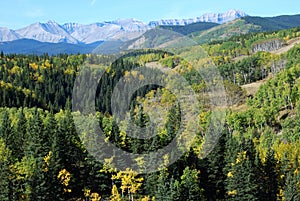 Sheep River Valley in Autumn