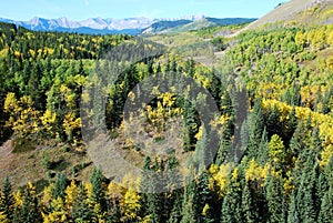 Sheep River Valley in Autumn