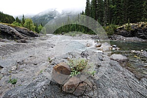 Sheep river valley in rain