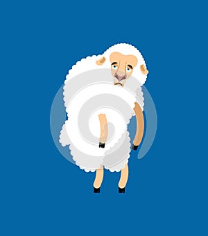 Sheep sad. Farm animal sorrowful emoji. Vector illustration