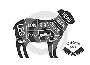 Sheep scheme cuts. Butcher diagram poster. Meat diagram scheme illustration. Cuts of sheep meat. Farm animal silhouette.
