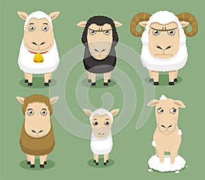 Sheep set
