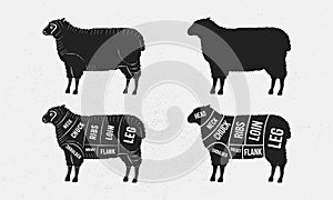 Sheep set. Sheep silhouette. Mutton - butcher diagram template.
