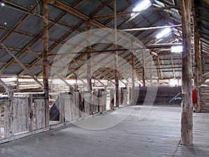 Sheep Shearing Station, Australia