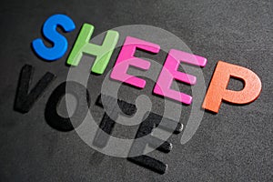 Sheep photo