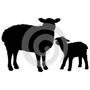 Sheep Silhouette