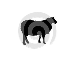 Sheep silhouette logo