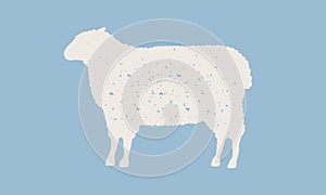 Sheep silhouette. Sheep icon isolated on blue background. Graphic design for meat shop, grocery, farmers market. Vintage typograph