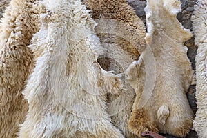 Sheep skins on sale in the village Lahij- Azerbaijan