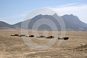 Sheep sleeping in shade of feeding trays