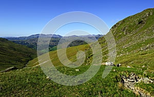 Sheep on Tongue Gill