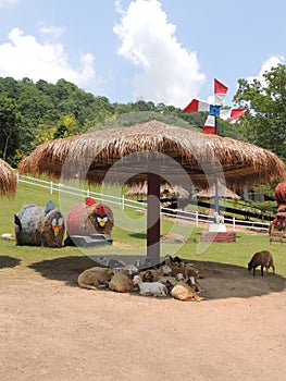 Sheep under shelter and haystacks in the form of angry birds