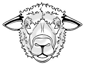 Sheep vector drawing, sheep head drawing sketch, sheep in black and white