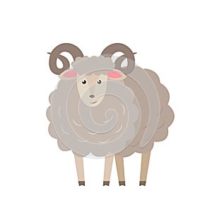 Sheep vector flat illustration isolated on white background. Farm animal lamb cartoon character.