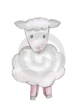 Lamb Sheep Watercolor Illustration. Hand drawn cartoon young sheep set isolated on white background. Cute illustration of animal f