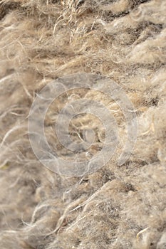 Sheep wool as abstract background