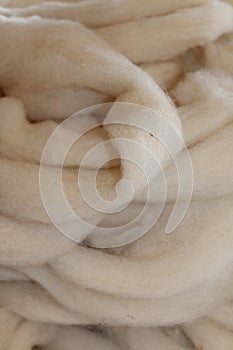 Sheep wool roving