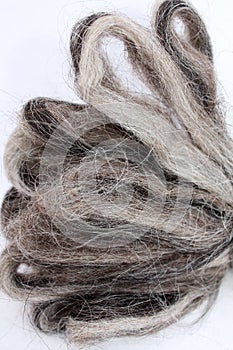 Sheep Wool Roving