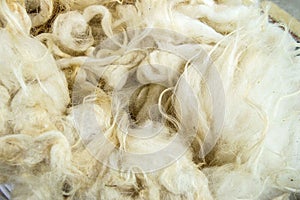Sheep wool, wool pictures, make quilts and pillows with natural wool,