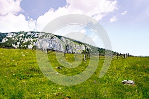 Sheepfold in the Carpathians Mountains, Romania photo