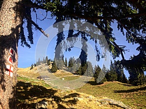 Sheepfold in Fagaras Mountains