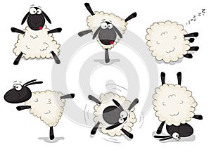 Sheeps