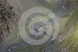 Sheeps in the Caucasus