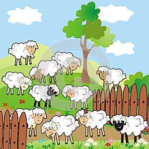 Sheeps, pasture,landsape, large group of animals, eps.