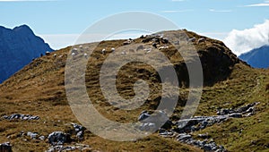 Sheeps grazing on mountain peak on Mangart saddle in Slovenia in Autumn