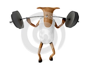 Sheepy and weights