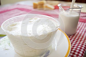 Sheepâ€™s milk ricotta in plastic mold