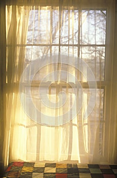 Sheer curtains through paned window photo