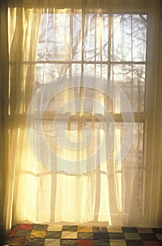 Sheer curtains through paned window