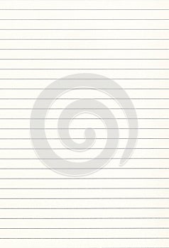 Sheet of blank white lined notebook paper background.