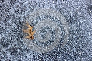 Sheet of ice on sidewalk with single dead leaf on rough surface