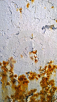 Sheet metal corrosion of old white steel construction. Rusty messy surface. Damaged grunge texture from road salt. Rust background