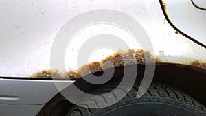 Sheet metal corrosion over wheel of old white car. Rusty messy surface. Damaged grunge dirty texture from road salt. Rust backgrou