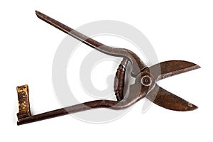 Sheet metal shears