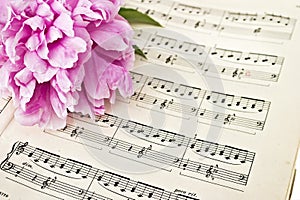 Sheet Music