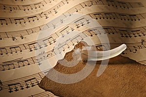 Sheet Music Close-Up.