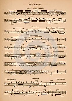 Sheet Music for Organ