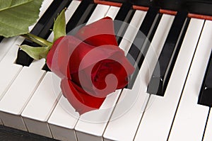 Sheet Music with Rose on piano