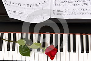 Sheet Music with Rose on piano